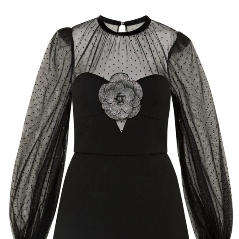 REBECCA VALLANCE
Yvonne Flower-Embellished Illusion Mini Dress size 4